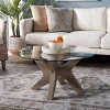Kaera Coffee Table - Multibrown/Glass - Safavieh - 2 of 4