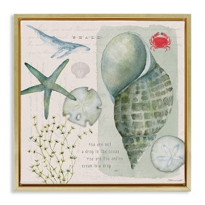 Stupell Industries Sea Shell Inspirational Collage, 18" x 18" - 1 of 4