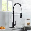 PROOX Single-Handle Pull Down Sprayer Kitchen Faucet - 2 of 4