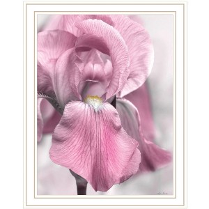 HomeRoots Pink Iris White Framed Print Wall Art - 1 of 4