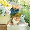 Design Toscano Handstand Henry The Garden Gnome Statue - 2 of 4