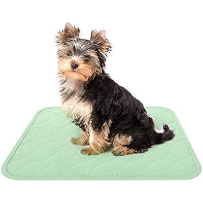 Puppy Pads Pet Training Mat- 2 Pack Quick Absorb, Waterproof, Machine Washable, Reusable- Dog Housebreak PETMAKER
