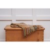 C&F Home Zig Zag Accent Throw Blankets - 3 of 4