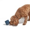 Tennis Tumble Dog Toy Aumenta la interacción Perro Juguetes