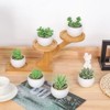 BRINJOY 6-Pack Mini Artificial Succulent Plants - Small Faux Succulents in Pots for Home Desk Decor - 4 of 4