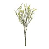 Melrose Boxwood Twig Spray (Set of 6) - 3 of 3