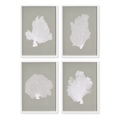 Plum & Post Coral Fans Study, Set Of 4