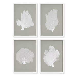 Plum & Post Coral Fans Study, Set Of 4 - 1 of 2