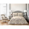 Togas Amanda Beige Flat Sheet Queen - 2 of 4
