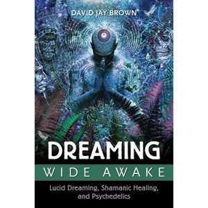 Dreaming Wide Awake - by  David Jay Brown (Paperback) - 1 of 1