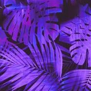 purple feather print
