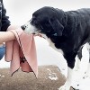 John Ritzenthaler Co. Embroidered Microfiber Pet Towel Small Set of Three - 4 of 4