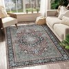 Washable Vintage Printed Rug Non Slip Low Pile Rug Retro Throw Floor Cover Foldable Indoor Carpet for Living Room Bedroom - 2 of 4