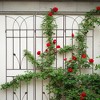 MAYEERTY 2 Pack Metal Garden Trellis 71 x 17.7 Inch Rustproof Climbing Plants Support Brown Outdoor Flower - 2 of 4