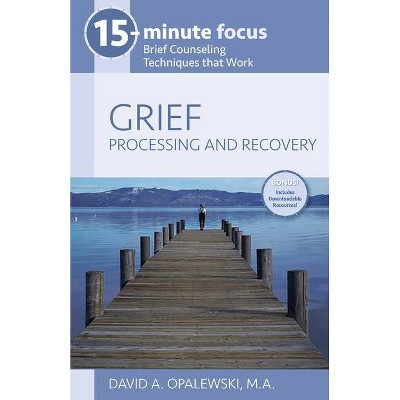 15-Minute Focus: Grief: Processing and Recovery - by  David A Opalewski (Paperback)