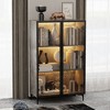 FUFU&GAGA Multi-compartments Gray Stoneware Display Cabinet with Glass Doors - 4 of 4