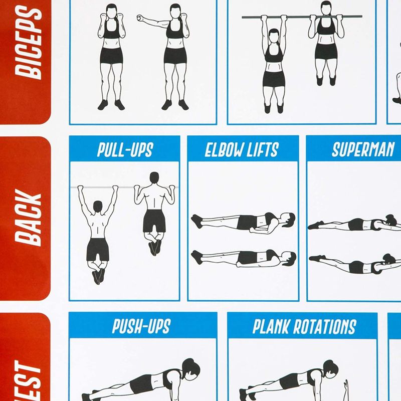 Okuna Outpost 2 Pack Bodyweight Workout Posters for Home Gym Exercises (17.75 x 27 in), 5 of 8