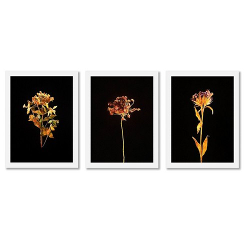 Americanflat Boho Botanical (set Of 3) Watercolor Rust By Pauline Stanley  Framed Triptych Wall Art Set : Target