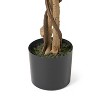 Gulches 150 Centimeter Artificial Ficus Tree Pre Potted Life Like Leaves Easy Maintenance Indoor Outdoor Home Decor - 3 of 4