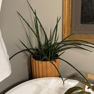 Guest review image 1 of 2, zoom in