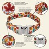 Country Brook Petz Premium Dog Collar - Awesome Autumn Collection - 3 of 4