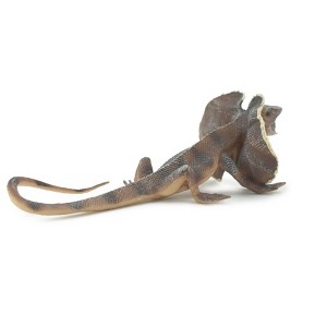 Collectible Wildlife Gifts | Lizard, Frilled Lizard, Museum Quality, Hand Painted, Rubber Reptile, Realistic Toy, Model, Gift,   6"   CH480 BB153 - 1 of 4