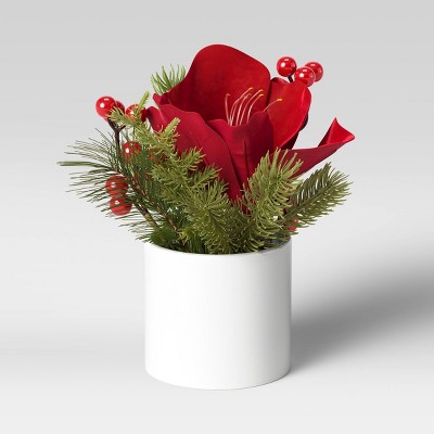 Amaryllis Arrangement - Threshold™