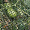 DeWitt 14 Foot Garden Bird Barricade Plant Protector Deluxe Netting (2 Pack) - 3 of 4