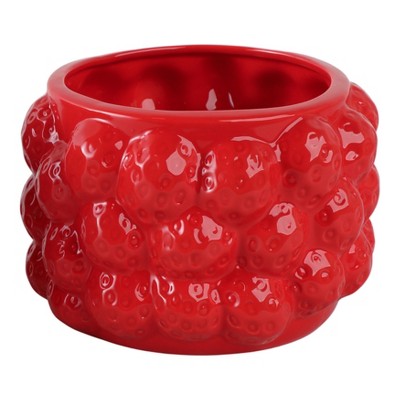 Cheerful Planter Pot Perfect for Indoor or Outdoor Herbs, Ferns, or Succulents - Modern Pot for Indoor - Great for Garden and Patio Decor