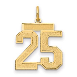 Black Bow Jewelry 14k Yellow Gold, Jersey Collection, Medium Number 25 Pendant - 1 of 3