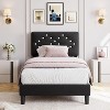 Velvet Bed Frame, Upholstered Platform Bed with Button Tufted Headboard & Under-Bed Storage Space, Sturdy Wooden Slats Support, No Box Spring Needed - 3 of 4