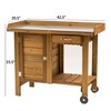 Tierra Garden Gardener's Table with Wheels, Cabinet and Drawer - 3 of 4