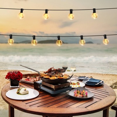 Warm White LED 24ft Globe String Lights with Black Wire
