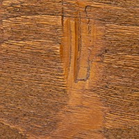 chestnut