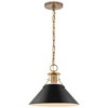 Nuvo Lighting Outpost 1 - Light Pendant in  Matte Black/Burnished Brass - 3 of 4