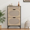 Rattan Shoe Cabinet with 2 Flip Drawers and 1 Pull-Out Drawer, Free Stand Shoe Storage Cabinet, 3-Position Adjustable Shelf - 3 of 4