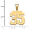 Black Bow Jewelry 14k Yellow Gold, Athletic Collection Medium Polished Number 35 Pendant - 2 of 3