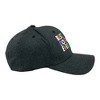 Best Dog Mom Ever Hat Funny Mothers Day Pet Puppy Animal Lover Cap - Crazy Dog - 2 of 4