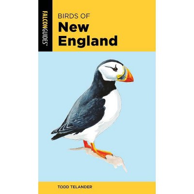 Birds of New England - (Falcon Pocket Guides) 2nd Edition by  Todd Telander (Paperback)