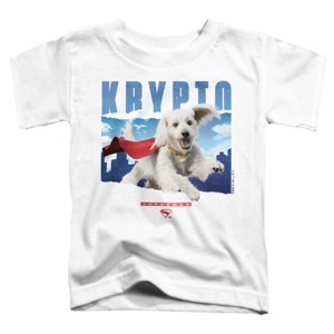 Toddler Boy's Superman 2025 Krypto in the Sky W T-Shirt - 1 of 3