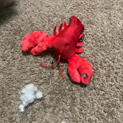 The Jumpy Lobster - Dog Toy – Savvy Pet