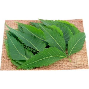Rani Brand Authentic Indian Foods | Fresh Leaves - 1 of 1
