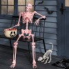 60" Poseable Skeleton Halloween Decorative Prop Blush Pink - Hyde and EEK! Boutique™ - 2 of 3