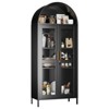 SUXXAN Metal Arched Cabinet with Glass Doors, Freestanding Display Cabinet with Adjustable Shelves, Assembly Required - 2 of 4