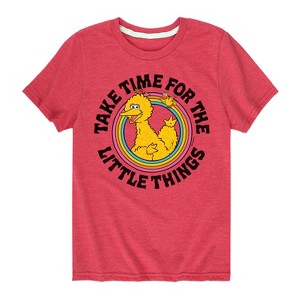 Boys' - Sesame Street - Take Time For The Little Things Short Sleeve Graphic T-Shirt - 1 of 4