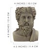 Esterno Mini Size Greek God Zeus Planter Pot; Garden Decor Statue Head Planter - 3 of 4