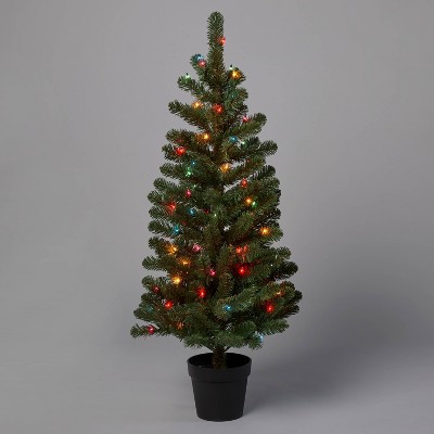 4' Pre-Lit Alberta Spruce Potted Artificial Christmas Tree Multicolor Lights - Wondershop™
