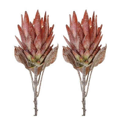 Orange Protea Flower Stem (Set of 2)
