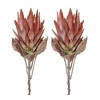 Melrose Protea Flower Stem (Set of 2) - 2 of 3