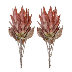 Orange Protea Flower Stem (Set of 2) - 1 of 3